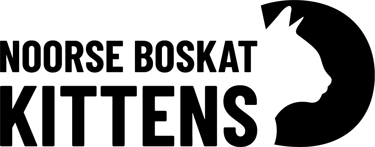 Noorse Boskat Kittens